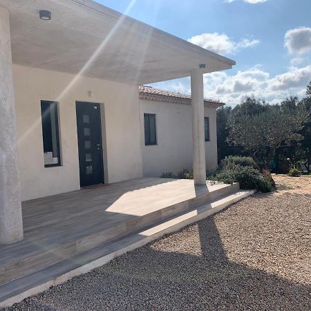 Magnifique Villa Classee 4* Meuble De Tourisme Flassans-sur-Issole Dış mekan fotoğraf