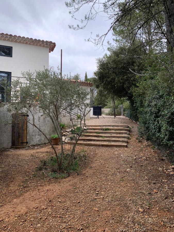 Magnifique Villa Classee 4* Meuble De Tourisme Flassans-sur-Issole Dış mekan fotoğraf