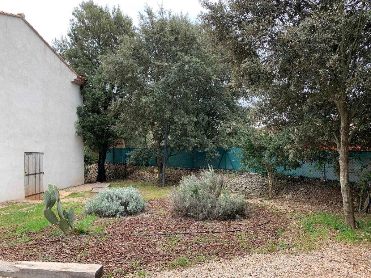 Magnifique Villa Classee 4* Meuble De Tourisme Flassans-sur-Issole Dış mekan fotoğraf